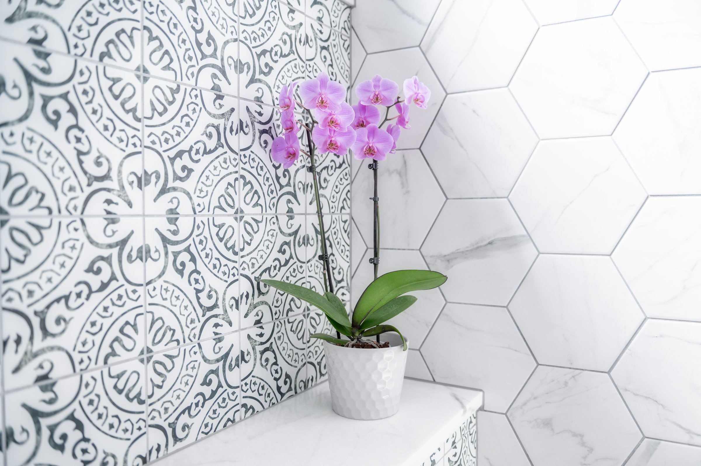 20230905-20230905-Z6S_1722