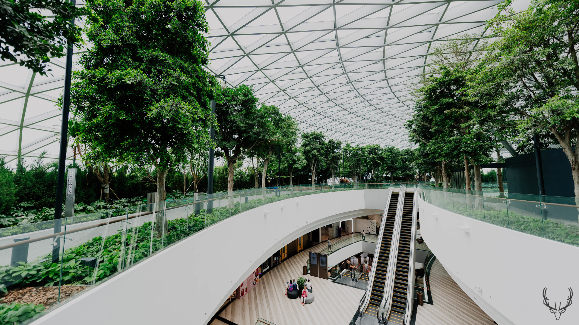 Eco-friendly Architecture: Designing Buildings for the Future